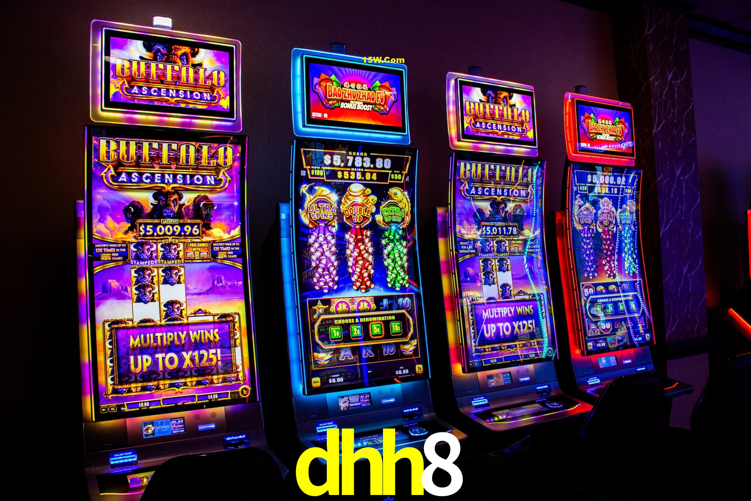 Sports Statistics dhh8